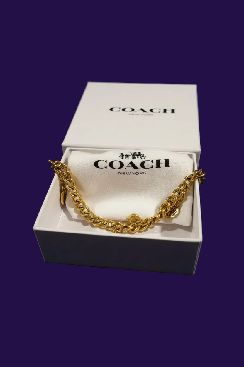 Cadena coach de bolsa