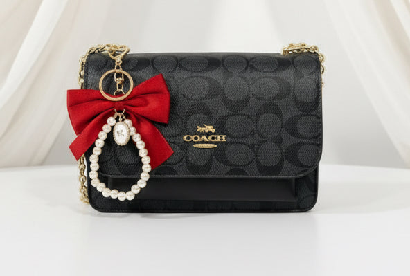 Crossbody coach purse
