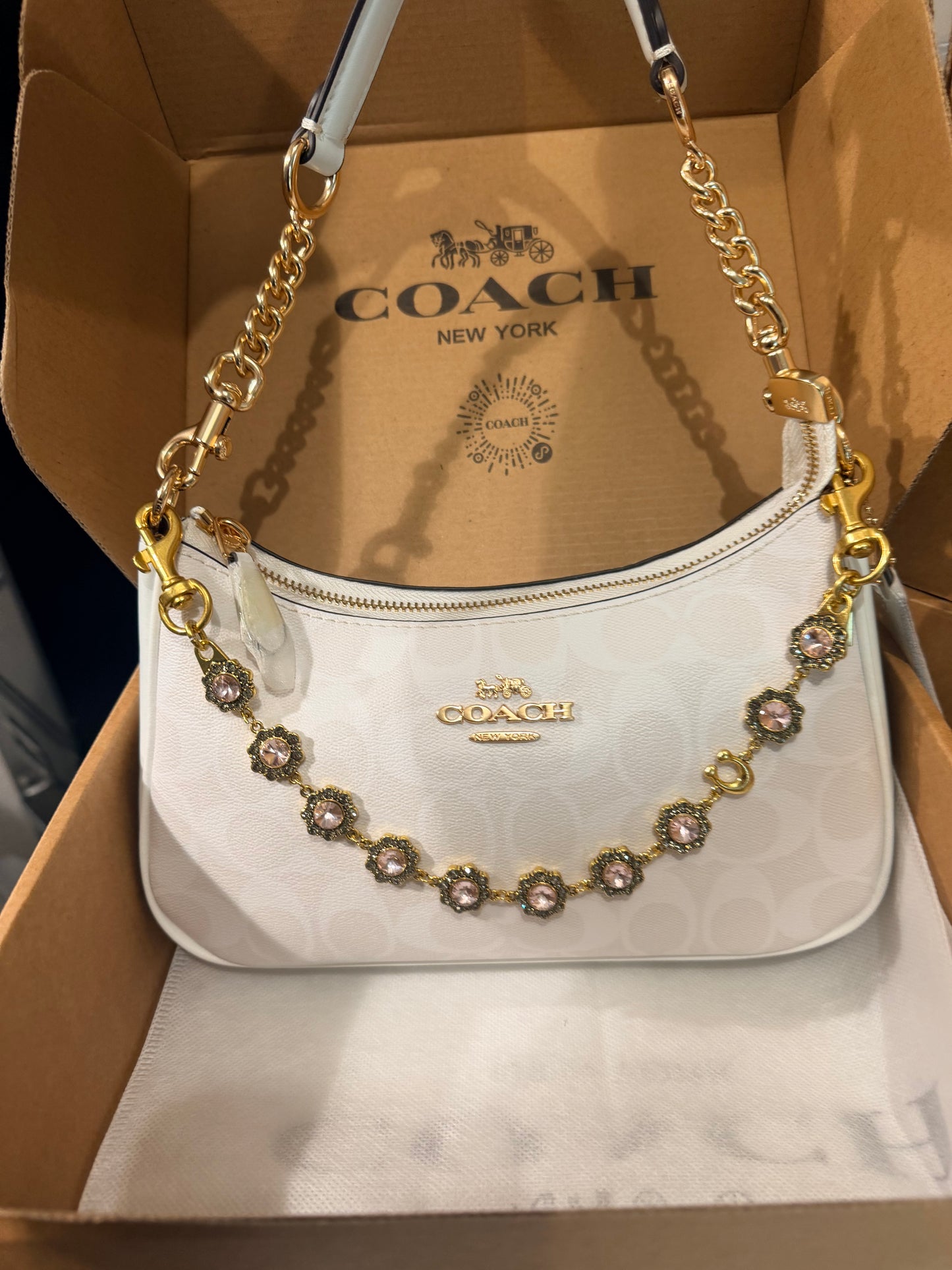 Teri coach