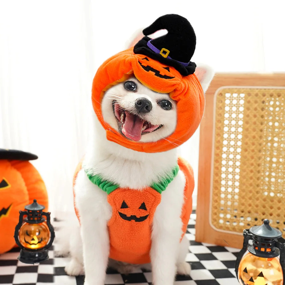 Halloween Pet Costume Cat Hat Plush Funny Animal Outfit Party Dress Up Supplies