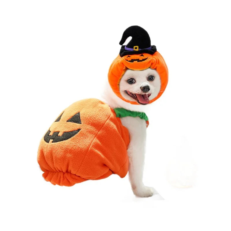 Halloween Pet Costume Cat Hat Plush Funny Animal Outfit Party Dress Up Supplies