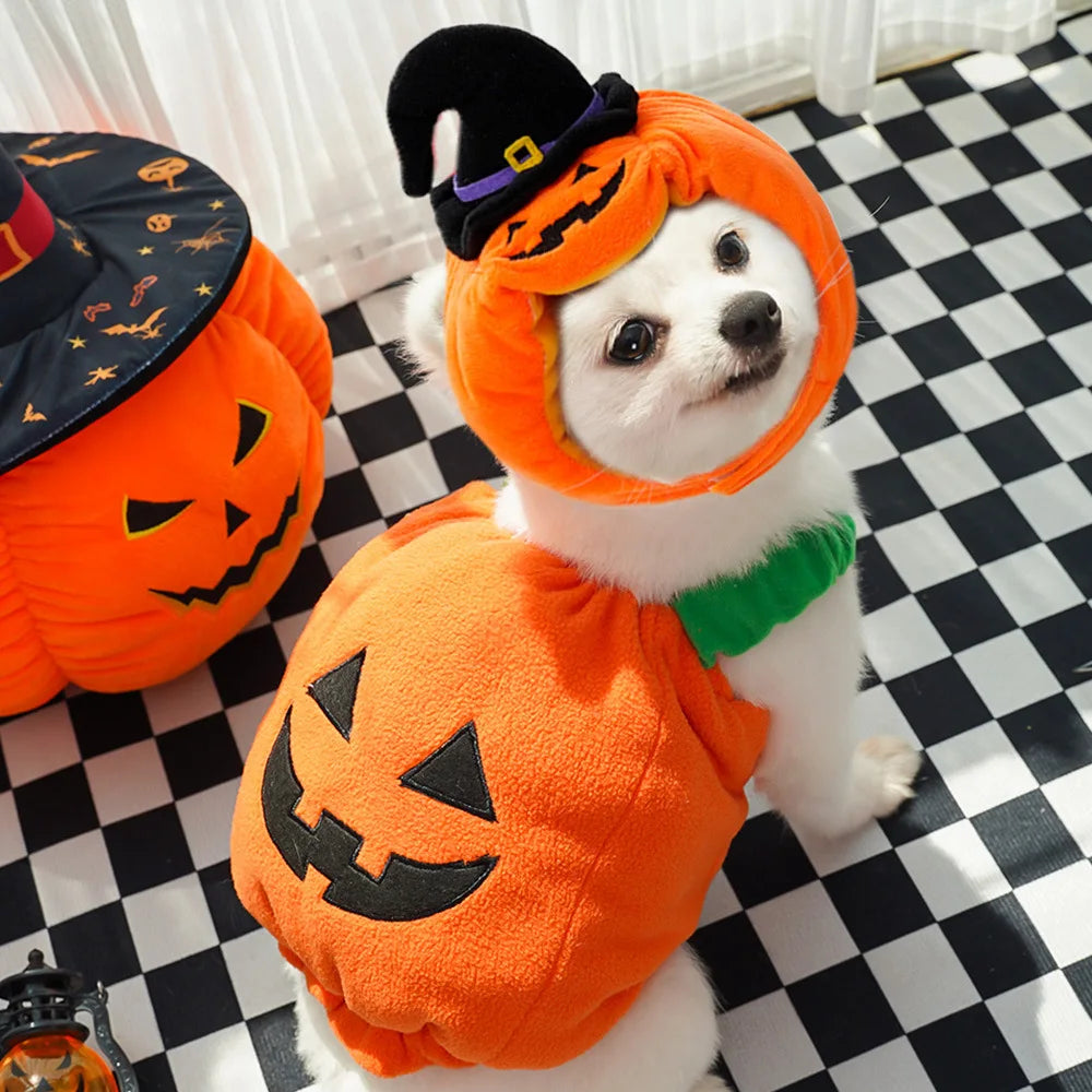 Halloween Pet Costume Cat Hat Plush Funny Animal Outfit Party Dress Up Supplies