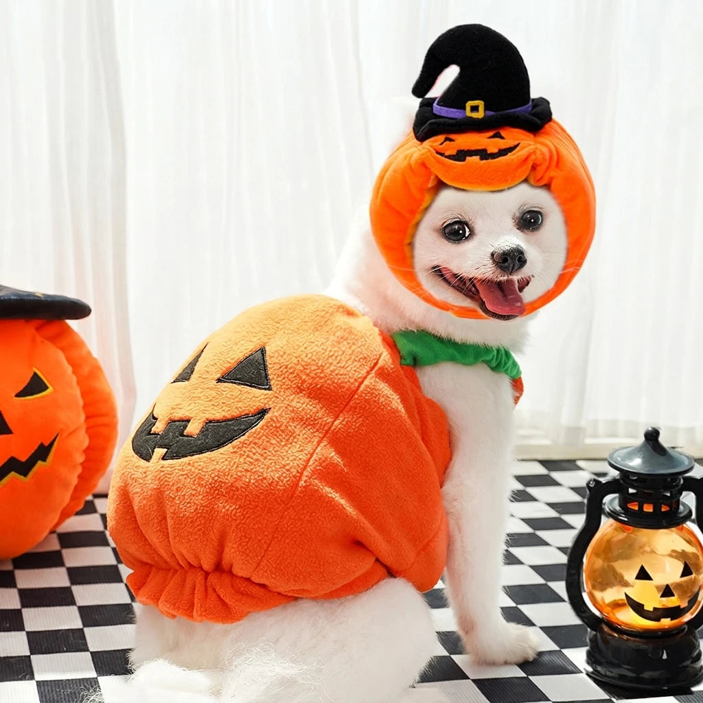 Halloween Pet Costume Cat Hat Plush Funny Animal Outfit Party Dress Up Supplies